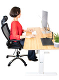Sit to Stand Desk - Sitting Image 