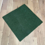 TIGS Money Putt Golf Turf