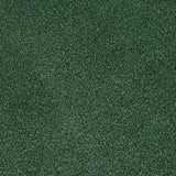TIGS Money Putt Golf Turf
