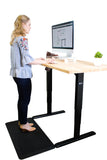 Electric Sit-Stand Desk Standing Image